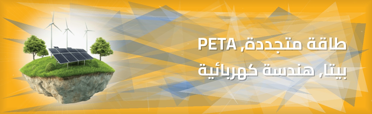 الاستدامة والابتكار في الطاقة المتجددة
