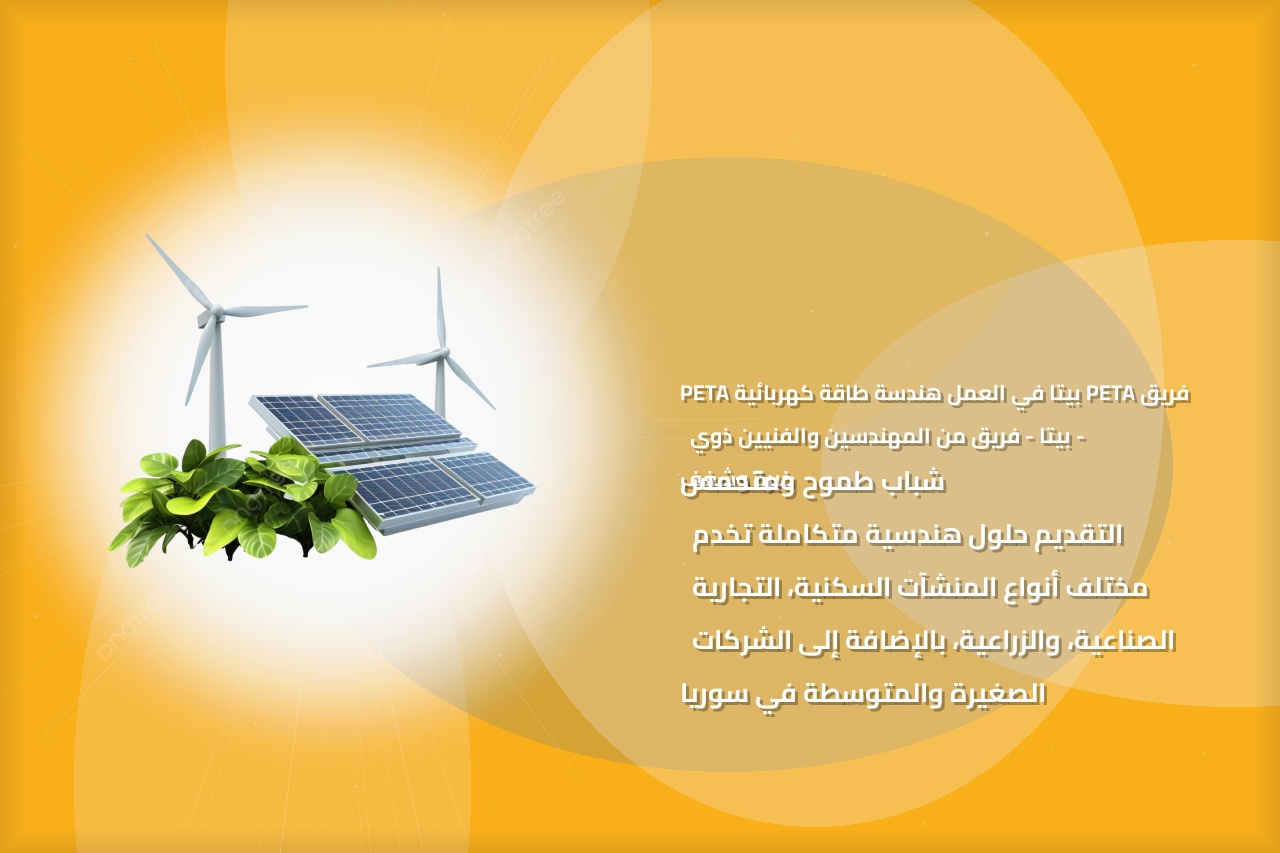 فريق PETA بيتا في العمل