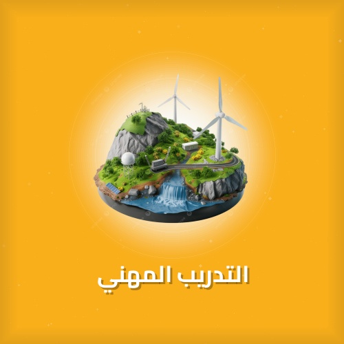 التدريب المهني